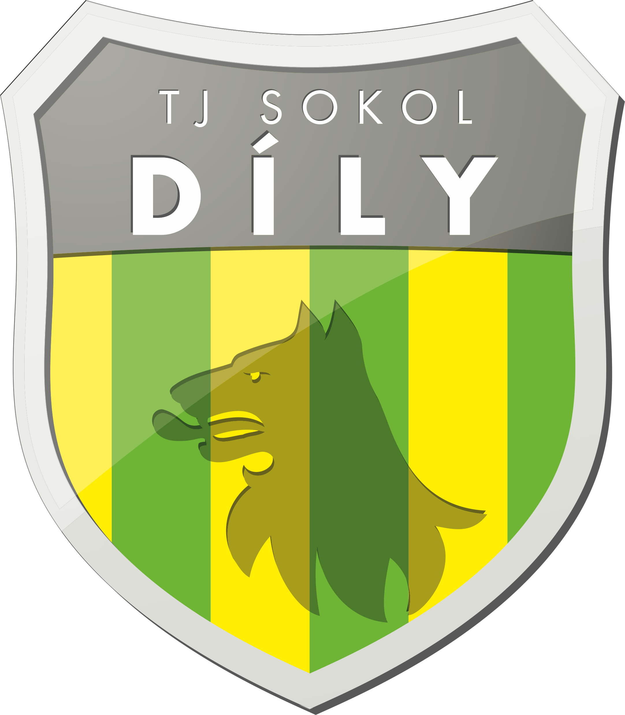 TJ Sokol Díly